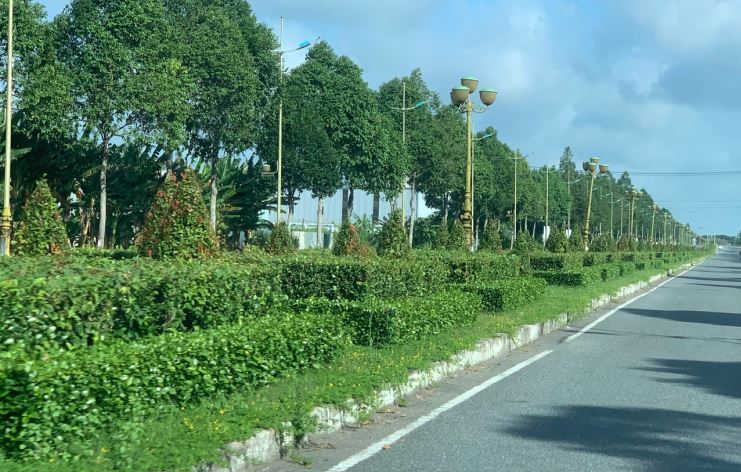 Hiện nay, toàn thành phố Cần Thơ có khoảng 25.000 cây xanh đường phố