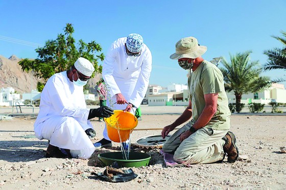 Trồng cây tại Oman