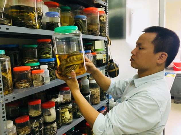 PGS.TS Nguyễn Thiên Tạo: Nhà khoa học đi đầu trong bảo tồn và nghiên cứu rắn độc Việt Nam