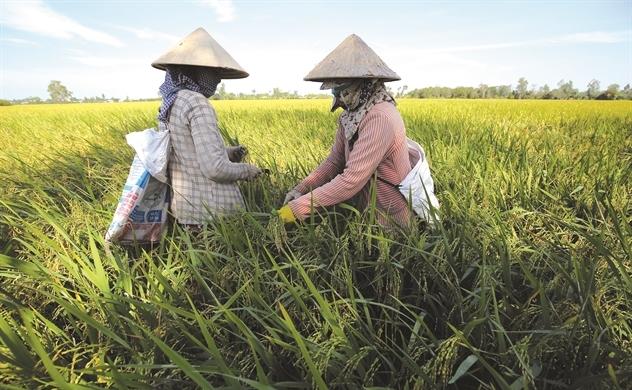 Nông nghiệp xanh tăng lực đẩy xuất khẩu - ThienNhien.Net | Con người và Thiên nhiên