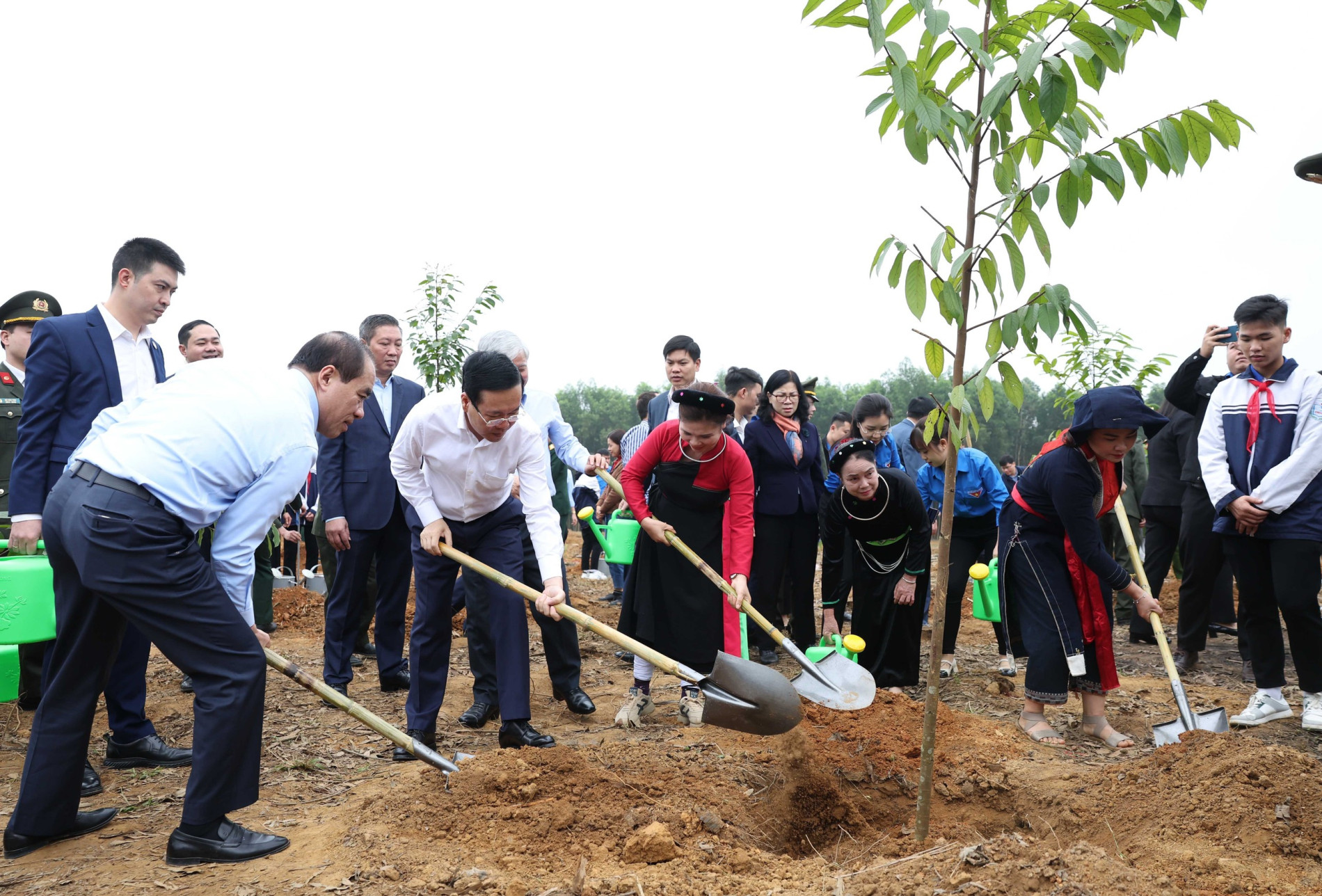 Chủ tịch nước phát động Tết trồng cây Xuân Giáp Thìn 2024 - Ảnh 1.