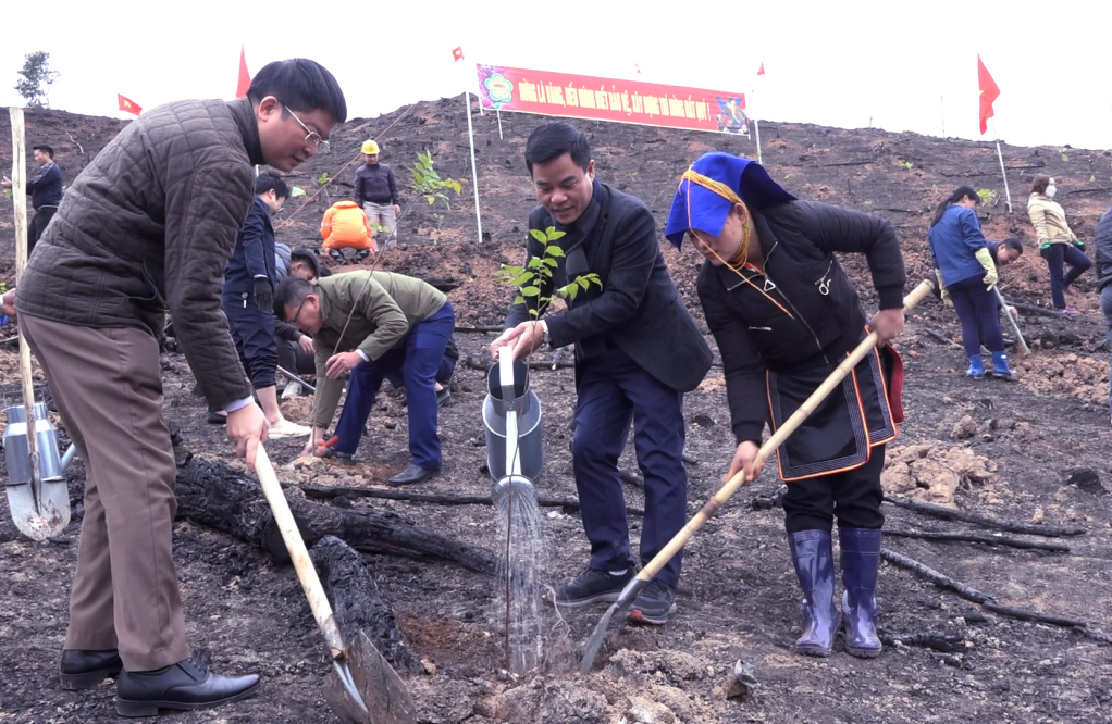 Hoạt động trồng rừng đầu năm 2023 tại huyện Ba Chẽ. 