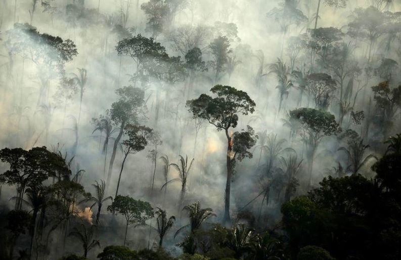 Amazon - "Lá phổi của hành tinh" đang đối diện nguy cơ suy giảm chức năng