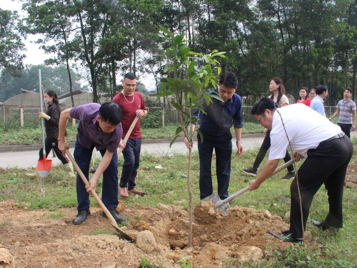 Lãnh đạo Ban quản lý Khu kinh tế tỉnh tham gia trồng cây