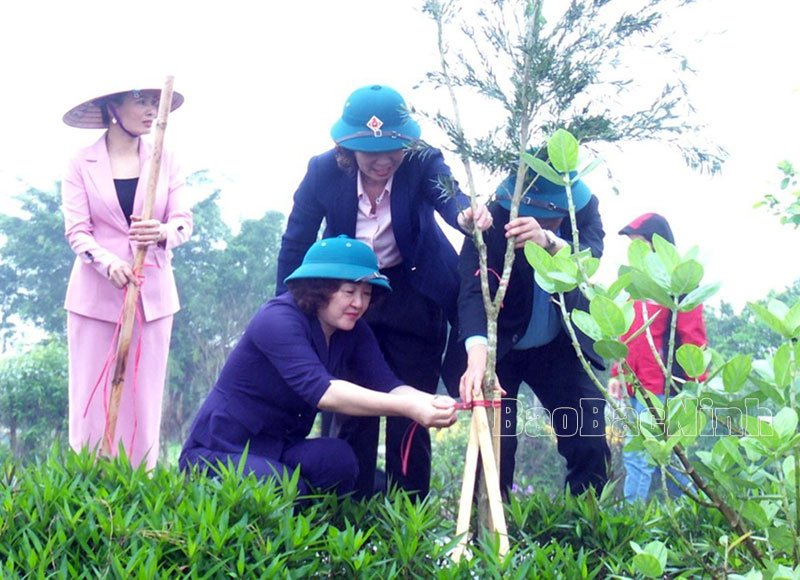 Hội LHPN huyện Lương Tài trồng hơn 1.100 cây xanh