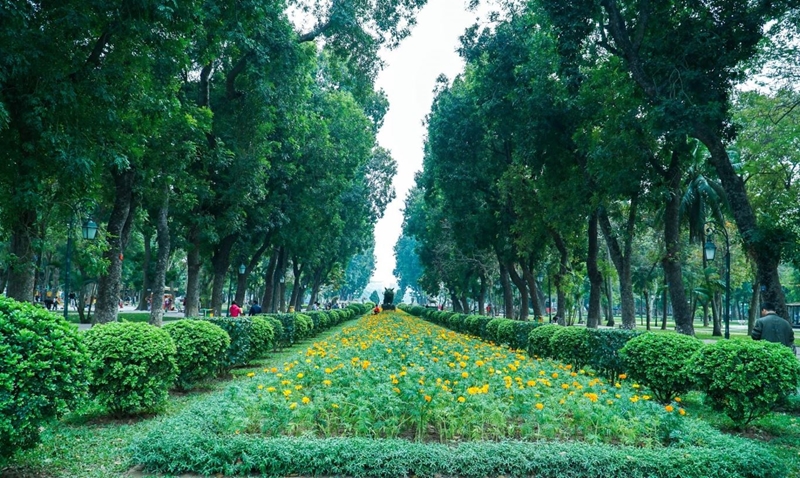 Lợi ích của việc trồng và bảo vệ cây xanh - Giúp giảm thiểu ô nhiễm môi trường không khí ở Việt Nam - Môi trường Du lịch