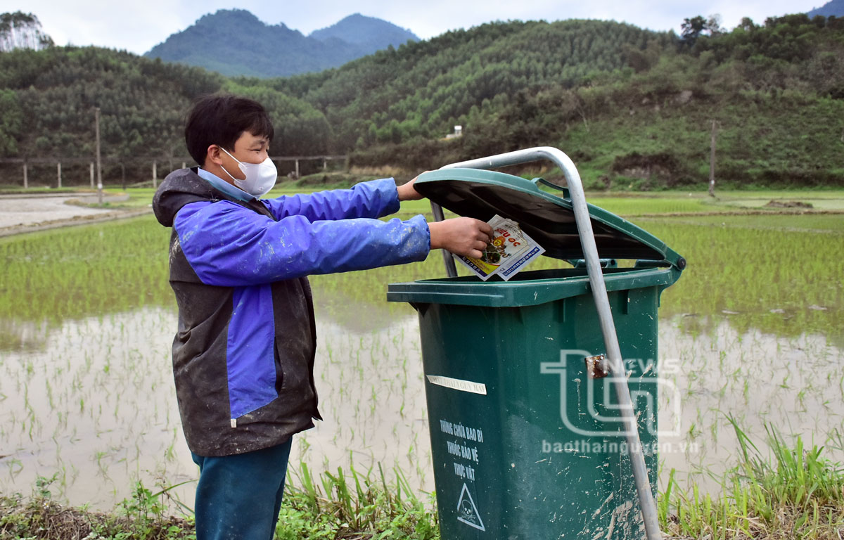 Nông dân huyện Đồng Hỷ thu gom vỏ bao thuốc bảo vệ thực vận để xử lý theo quy trình.