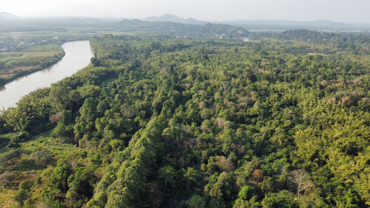 Hình thành thị trường tín chỉ carbon rừng của Việt Nam