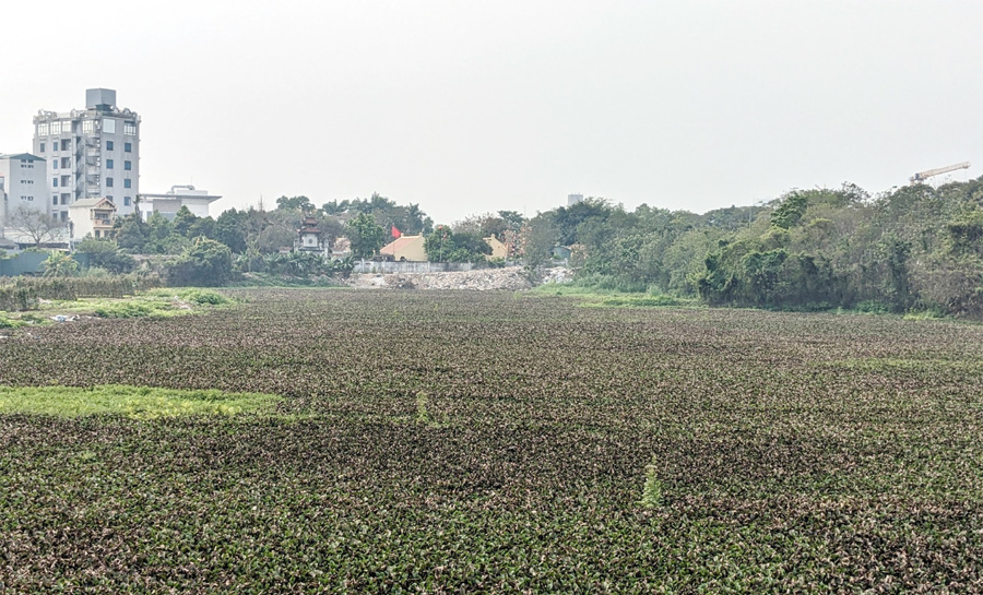 Hồ Song (phường Đại Mỗ, quận Nam Từ Liêm) đang ngày đêm bị xâm hại bởi chất thải và các công trình trái phép. Ảnh: Nguyễn Quý