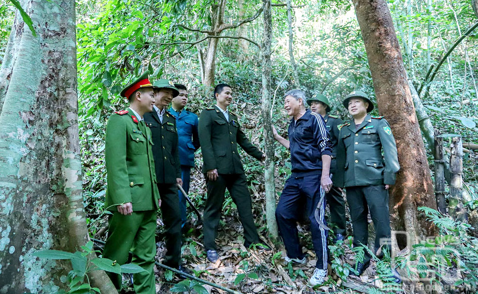 Cán bộ Trạm Kiểm lâm Đình Cả (Võ Nhai) phối hợp với các lực lượng liên quan thường xuyên tổ chức tuần tra bảo vệ rừng. Ảnh: T.L