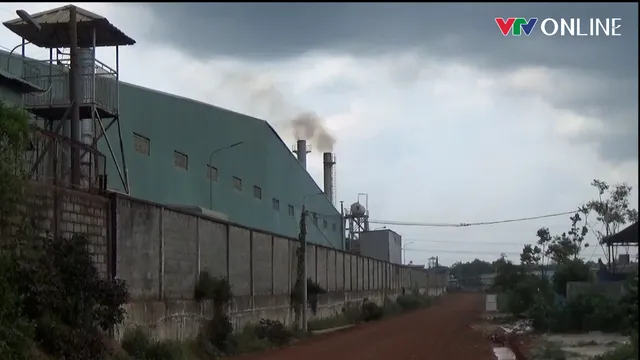 Bình Phước: Nhà máy khu công nghiệp vô tư xả khói đen khịt ra môi trường - Ảnh 5.