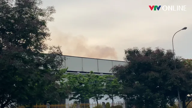 Bình Phước: Nhà máy khu công nghiệp vô tư xả khói đen khịt ra môi trường - Ảnh 11.