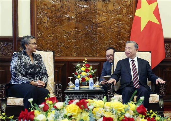 Chủ tịch nước Tô Lâm tiếp Đại sứ các nước trình Quốc thư