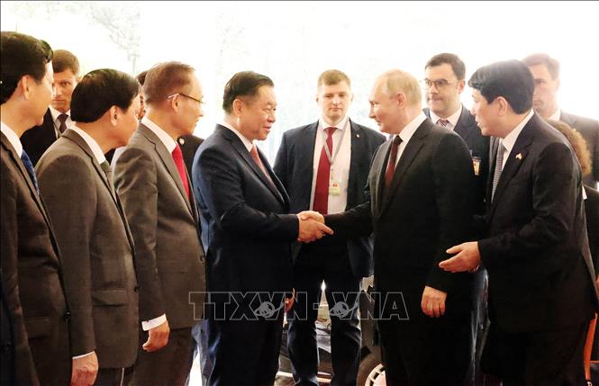 Tổng Bí thư Nguyễn Phú Trọng hội đàm với Tổng thống Liên bang Nga Vladimir Putin- Ảnh 3.