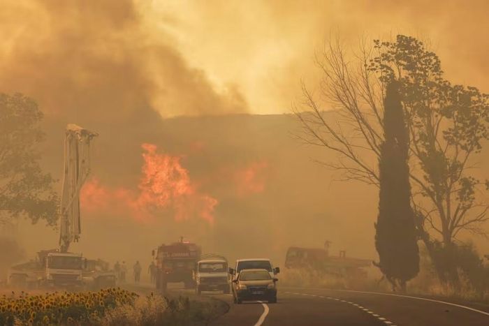Cháy rừng nghiêm trọng ở khu vực Đông Nam Thổ Nhĩ Kỳ. (Nguồn: AP)