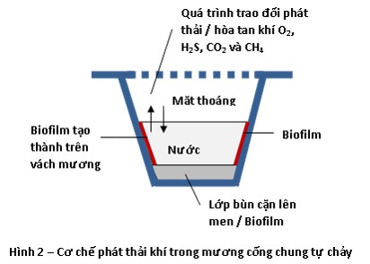 Cơ chế phát thải khí trong mương cống chung tự chảy