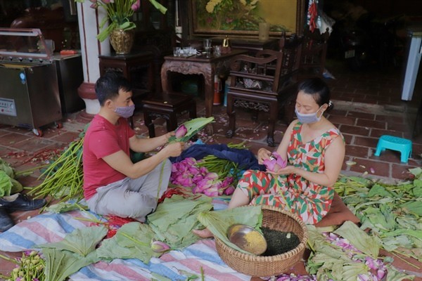 Trà sen Tây Hồ: Thức uống tinh túy, tao nhã của người Hà Nội