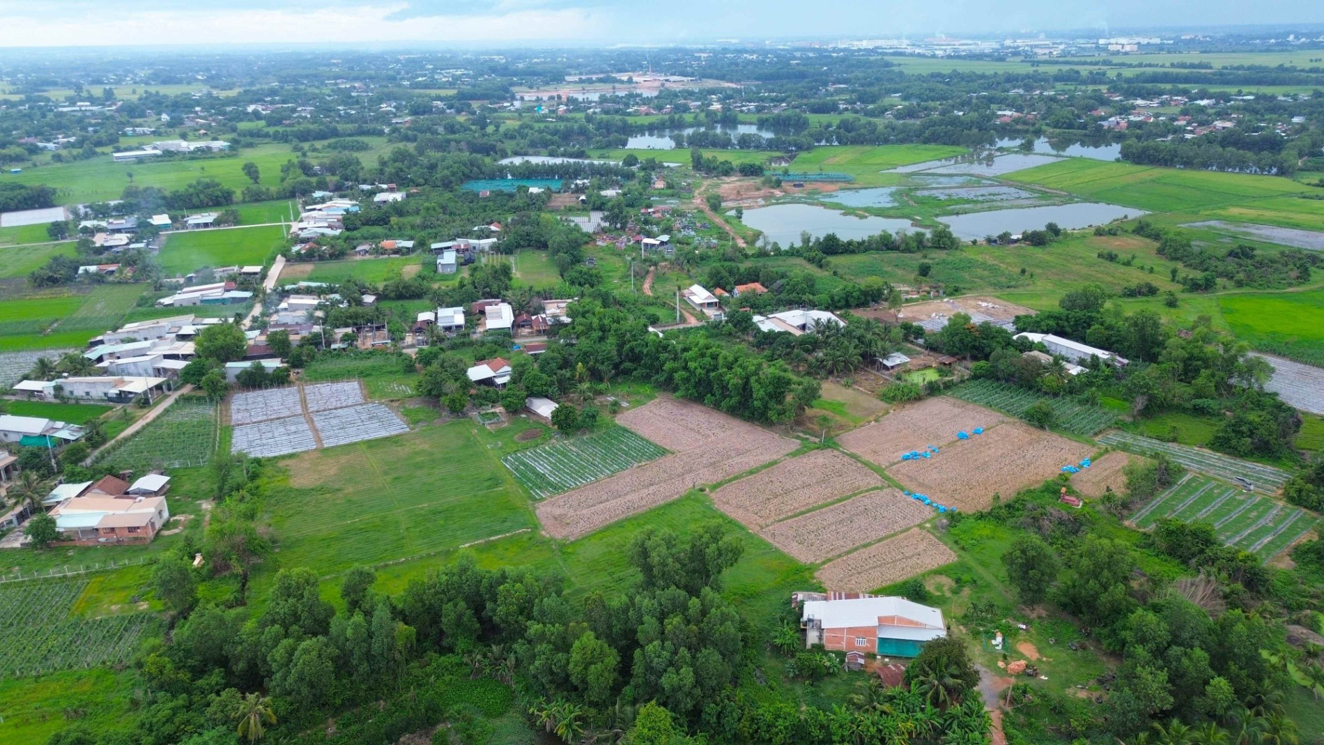 Cận cảnh khu vực quy hoạch khu công nghiệp Lộc Giang gần 470 ha tại Đức Hòa, Long An