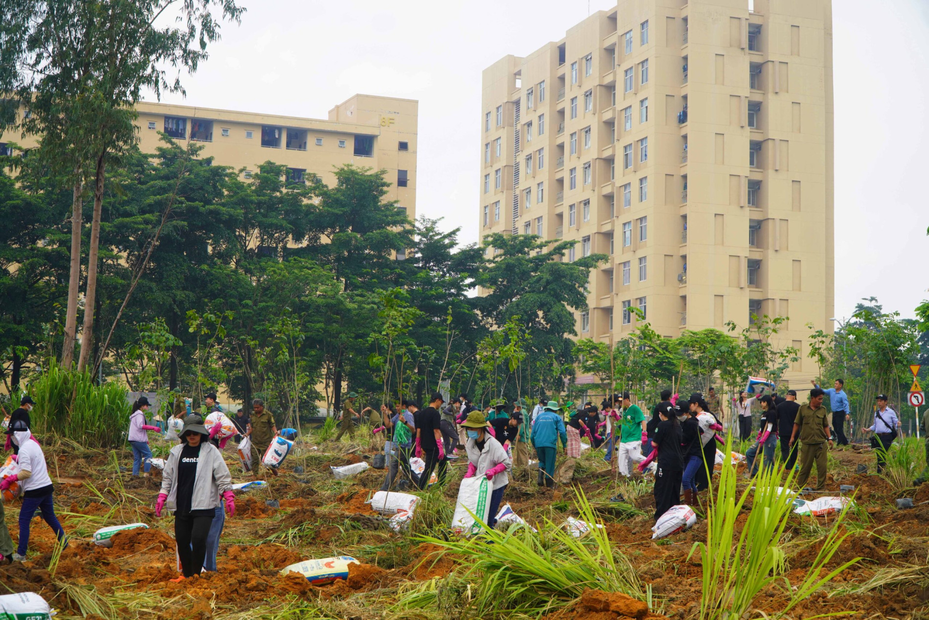 PHỦ XANH 1,6HA CÔNG VIÊN CÂY XANH ĐẠI HỌC QUỐC GIA TP. HỒ CHÍ MINH - Green Viet