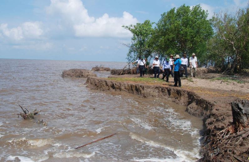 Dữ liệu thống kê, nền tảng của chính sách hiệu quả trong cuộc chiến chống biến đổi khí hậu