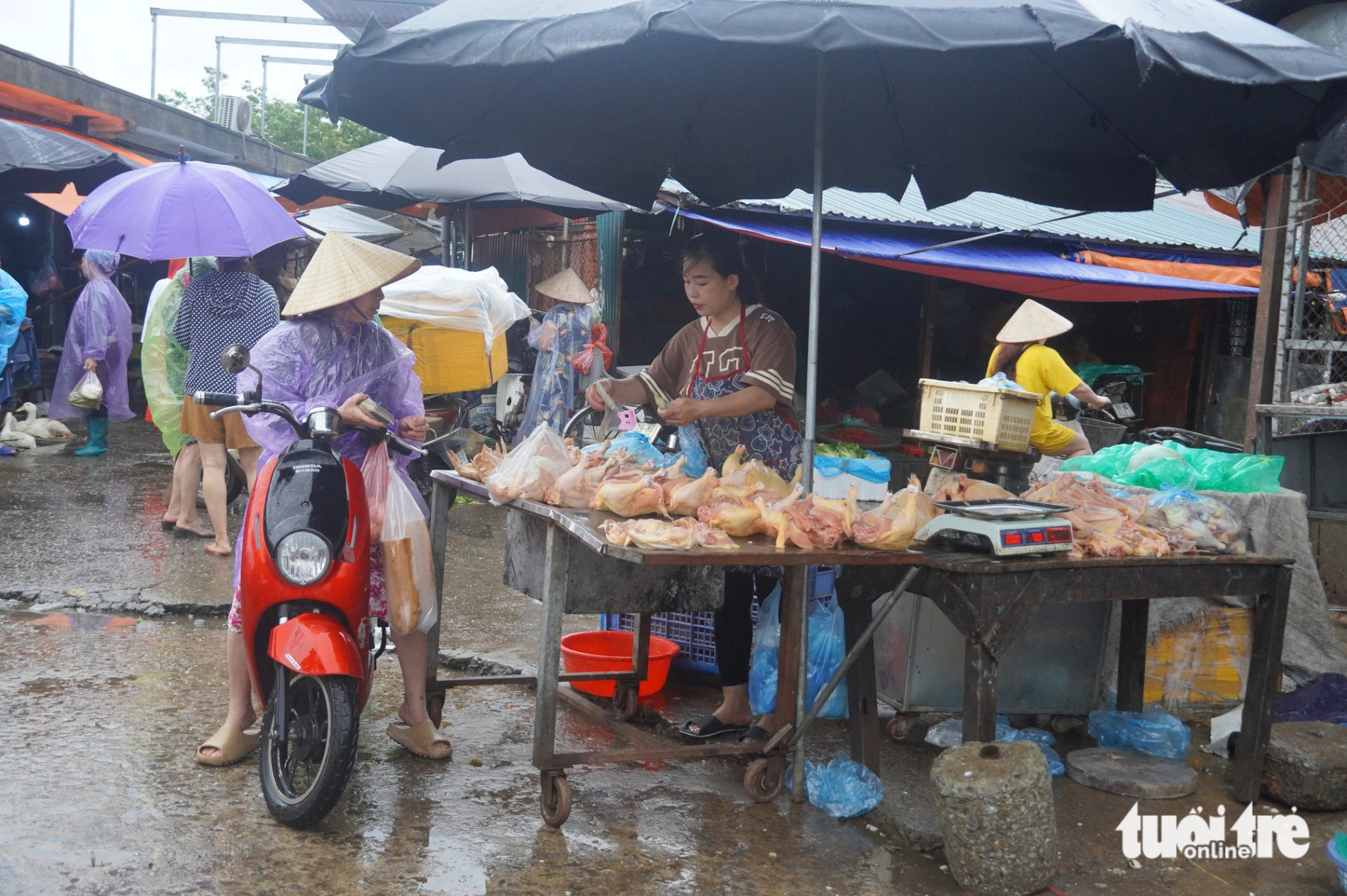 Sau bão rau tăng giá mạnh, mưa bão nhiều tiểu thương nghỉ bán - Ảnh 4.