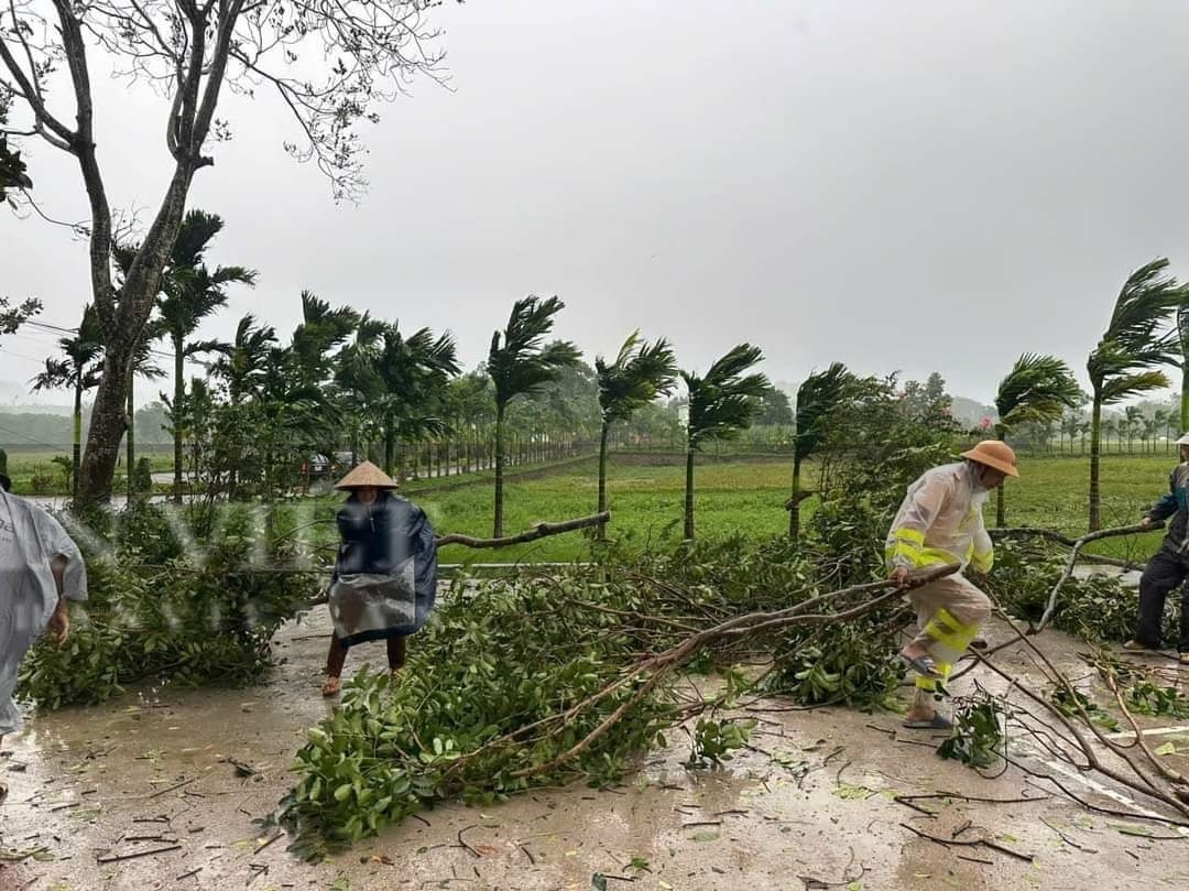 Hòa Bình cây đổ la liệt giữa đường, nhiều ngôi nhà bị hư hỏng do ảnh hưởng siêu bảo Yagi - Ảnh 13.