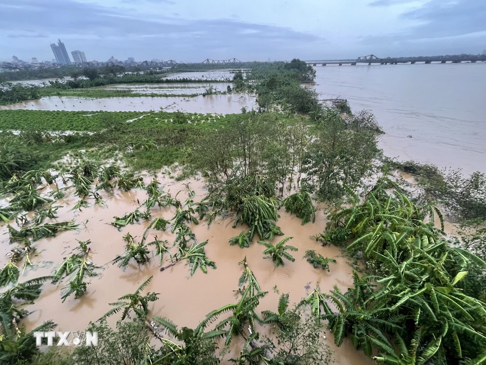 ttxvn_ha_noi_nguy_co_ngap_do_nuoc_song_hong (1).jpeg