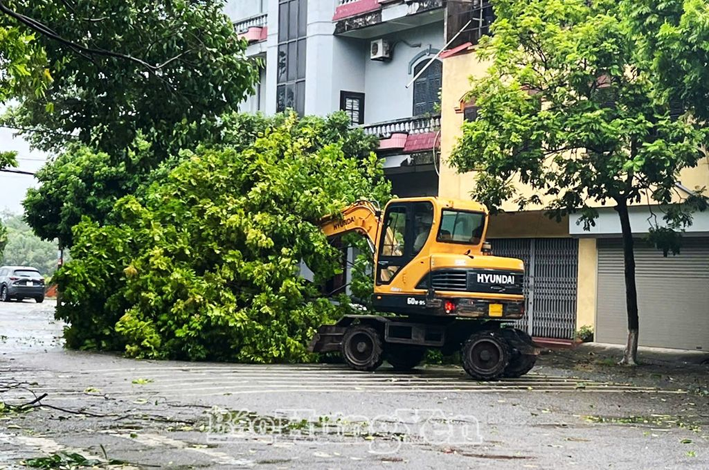 Huy động xe chuyên dụng và nhân lực để xử lý cây xanh gãy, đổ tại thành phố Hưng Yên