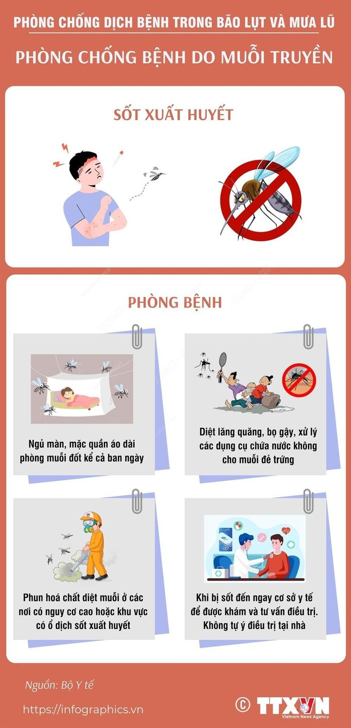 Phòng chống bệnh do muỗi truyền sau mưa bão