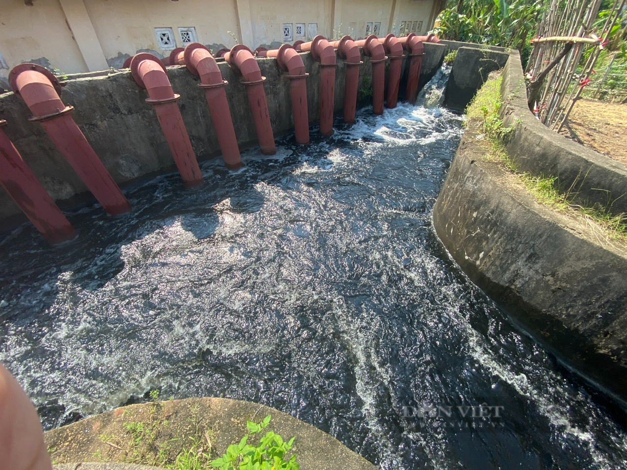 Bắc Ninh: Một nông dân bị chết 60 tấn cá nghi do nhiễm độc nguồn nước xả thải từ khu công nghiệp - Ảnh 5.