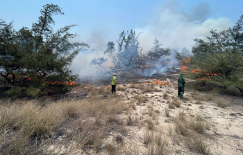 Quảng Bình: Huy động hơn 400 người khống chế vụ cháy rừng ven biển