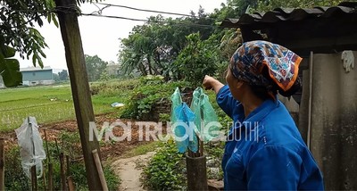 Thanh Trì - Hà Nội: Vì sao 'lúa chết, rau tàn' sau công ty mạ kẽm?