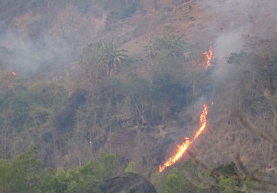 Gia Lai: Điểm nóng cháy rừng cần báo động