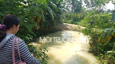 Đà Nẵng: Xác định hai công ty xả nước thải có mùi thuốc sâu ra kênh