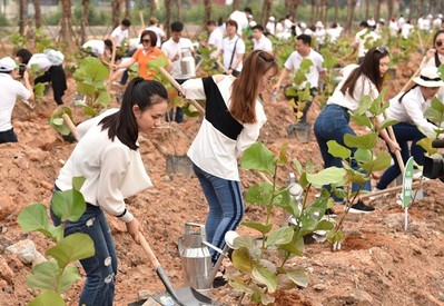 Tập đoàn FLC: Trồng 10.000 cây xanh trong chiến dịch Go Green 2019