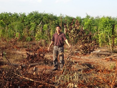 Gia Lai: Công ty cà phê triệt hạ đường sống của công nhân