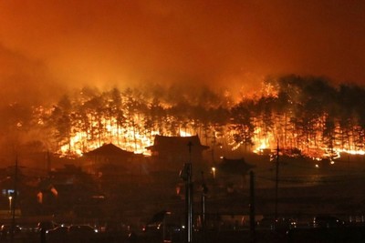 Tin tức thế giới: Sokcho (Hàn Quốc) chìm trong biển lửa vì cháy rừng