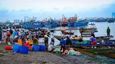Xử lý ô nhiễm môi trường tại âu thuyền và cảng cá Thọ Quang