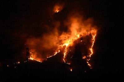 Gia Lai: Nỗ lực phòng chống các sự cố cháy rừng tái sinh