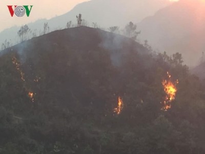 2 ngày nắng nóng, xảy ra hàng chục vụ cháy rừng ở Sơn La và Lai Châu