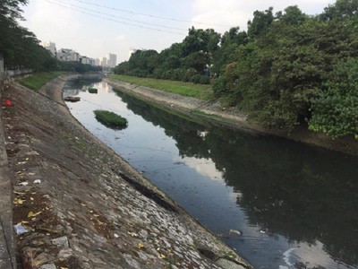 Chuyên gia Nhật hứa giúp đánh “bay” mùi sông Tô Lịch chỉ sau 3 ngày