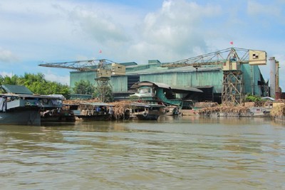 Sông Cái Lớn ô nhiễm: Yêu cầu nhà máy đường tạm dừng hoạt động