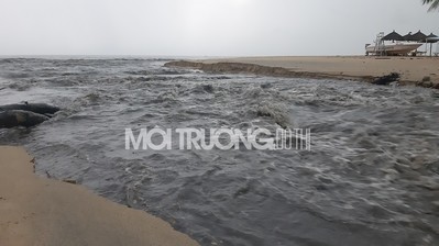 Nước thải đen kịt lại tiếp tục đe dọa biển Đà Nẵng sau mưa lớn