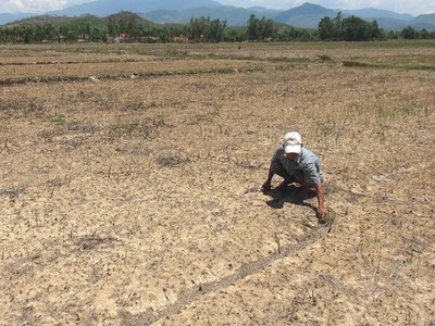 Nắng hạn ở khu vực Đông Nam Á ngày càng khắc nghiệt