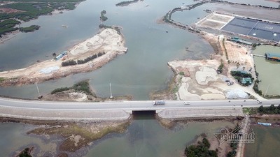 Quảng Ninh: Phạt 27 triệu bãi tập kết cát lấn rừng ngập mặn