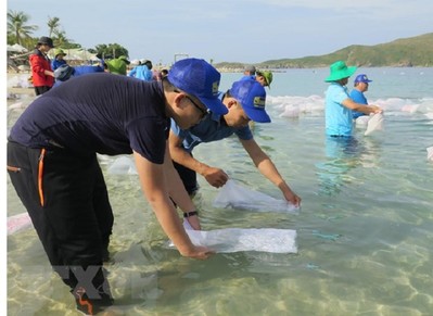 Thả gần 600.000 con giống tái tạo nguồn lợi thủy sản Vịnh Nha Trang