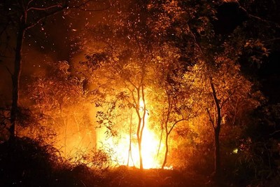 Điện Biên: Cháy rừng trong đêm, huy động hàng trăm người dập lửa