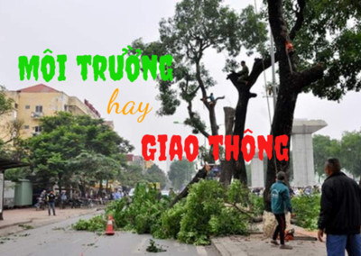 Bản tin Đô thị số 12/2019: Hà Nội sắp di chuyển, 'hạ' 2.000 cây xanh
