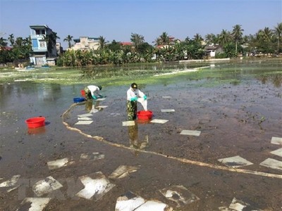 Vụ tràn dầu sông Kinh Thầy: Cty Tuấn Phong bị phạt 160 triệu đồng