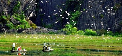 Báo động tình trạng suy giảm đa dạng sinh học tại Việt Nam
